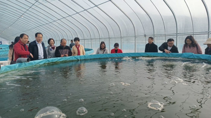 丹江口市文学采风4