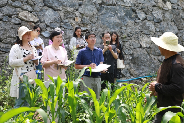 2022年6月11日，襄阳作家在保康县尧治河村采风。从2018年开始，襄阳作协先后组织千名作家深入田间地头，助力乡村振兴，见证襄阳农村的巨大变化。