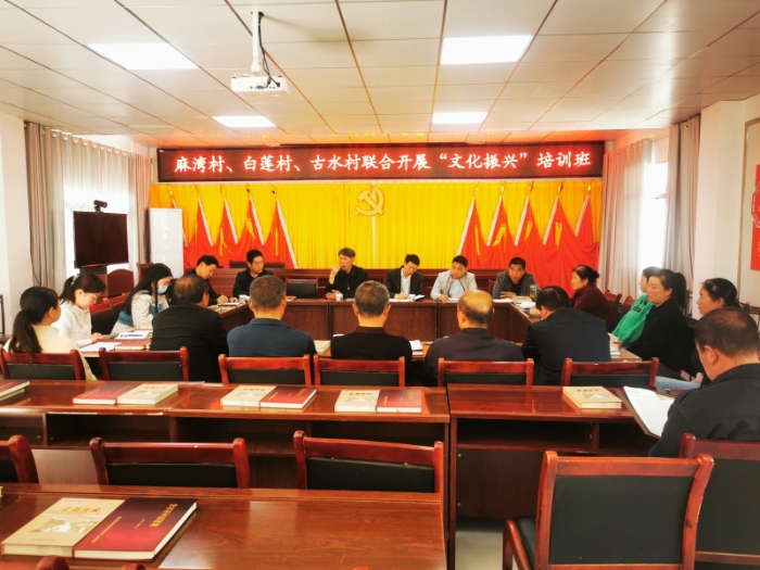 为村级文学爱好者授课